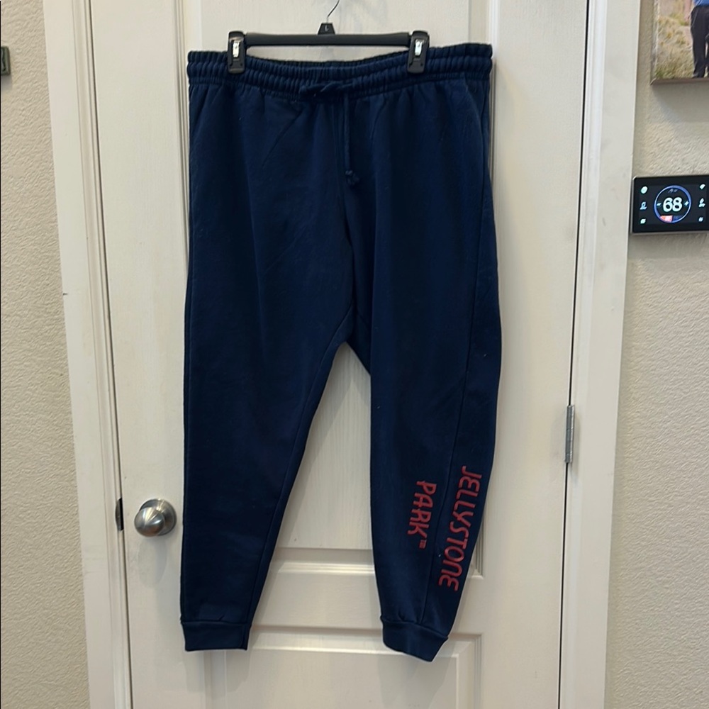 EUC Yogi Bear Jellystone Park Blue Joggers